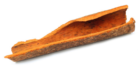 Cinnamon Spice