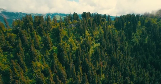 Luftaufnahme mit Wald im Gebirge im Zentrum, aufsteigende Kamerafahrt