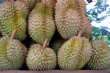Durian, King of Tropical Fruits in Thailand.