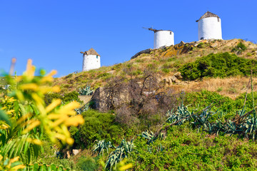 Three traditional windmills in Tripodes also known as Vivlos, one of the largest and most picturesque villages in southwestern Naxos. Cyclades Islands. Greece.
