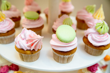 Multi-colored cream cup cakes