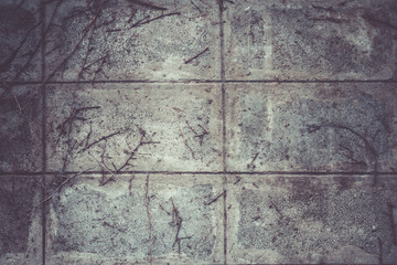 Grunge Cement Texture Background.