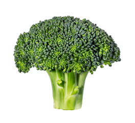 Broccoli isolated on white