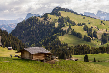 Holzhütte mit Vieh auf Seiser Alm