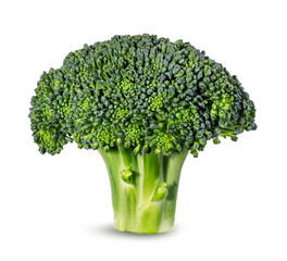 Broccoli isolated on white