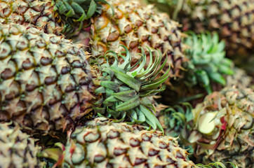 Fresh raw pineapples on market stall in Malaysia.Selective focus shot