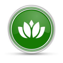 Grüner Button - Blume -Blüte