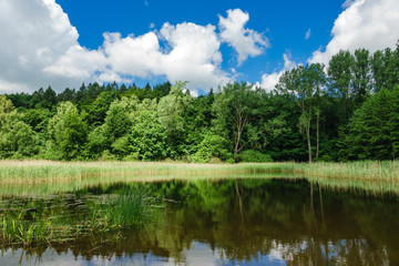 Landschaft mit Teich und Bäumen