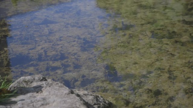 Paderquellen in Paderbron