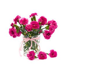 Bouquet of pink carnations (Dianthus caryophyllus) in small vase on white background with space for text - obrazy, fototapety, plakaty