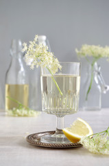 Holunderblütenlimonade