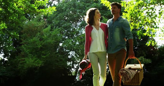 Romantic couple interacting while walking in park