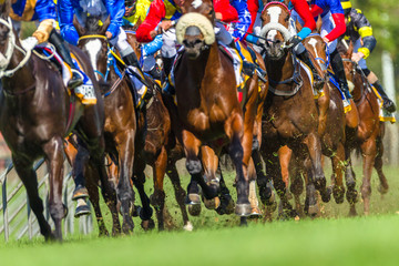 Horse Racing Closeup Animals Legs Hoofs Grass Track