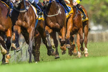 Crédence de cuisine en verre imprimé Léquitation Horse Racing Closeup Animals Legs Hoofs Grass Track