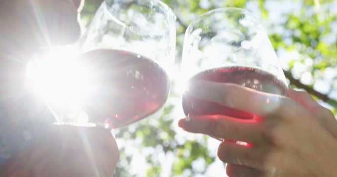 Close-up of couple toasting glasses of red wine in park
