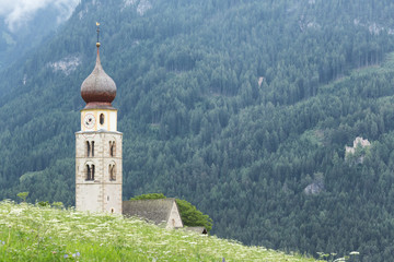 Fototapeta premium clock tower on hill and flower field background with pine forest