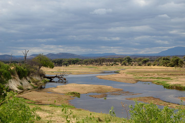 The River Ruaha