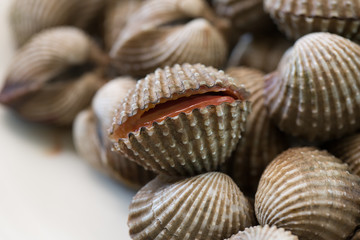 Cockles sea animal for delicious seafood in the dish / Selective focus..
