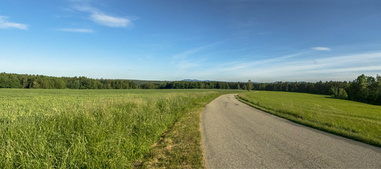 Cornfield panorama way