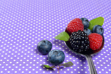 Berries still life