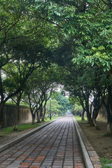 Empty footpath on a foggy day in the imperial city in Hue, Vietnam.