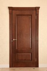 closed wooden door in the modern room