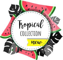 Summer collection. New. Tropical vector background. Monstera leaves. Watermelon.