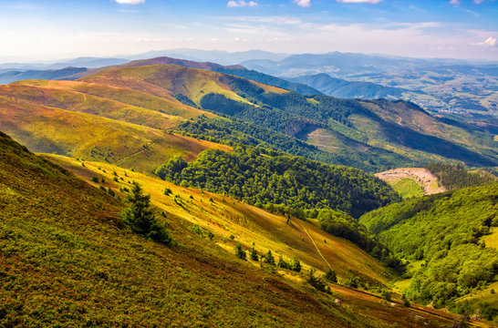 Carpathian Mountain Range in summer