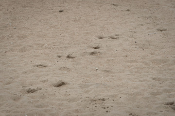 beach ocean relax sand summer beauty