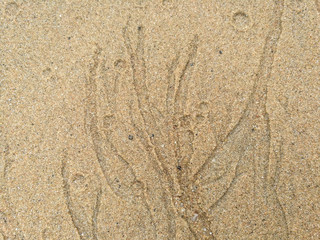 Patterns textured background of lines sand on the beach.
