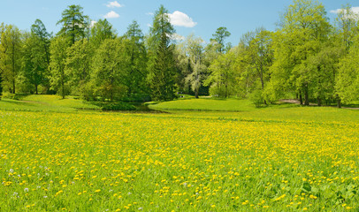 The natural landscape in the spring.