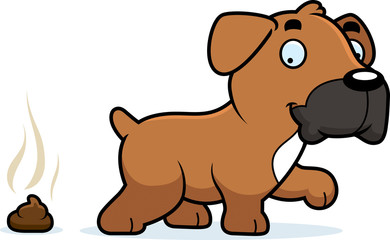 Obraz premium Cartoon Boxer Poop