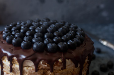 Vegan blueberry cake decorated with chocolate frosting and berries on dark stone background. Homemade cake for birthday, festive seasons,  engagement or valentine day, selective focus.
