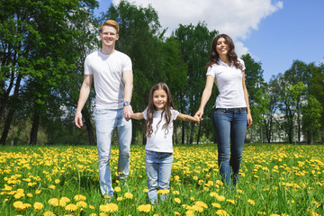 Fototapeta premium Family walking by flowers in park