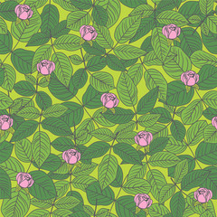 Seamless floral Pattern