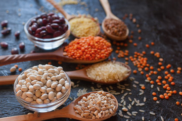 Raw organic cereal grains, seeds and beans (millet, rye,wheat, buckwheat, red and white beans, lentil, rice)  in wooden spoons and bowls on dark stone table, selective focus. Healthy eating concept
