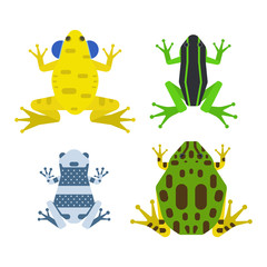Frog cartoon tropical animal cartoon amphibian mascot character wild vector illustration.