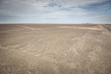 Tree (Arbol) lines in Nazca desert, Peru.