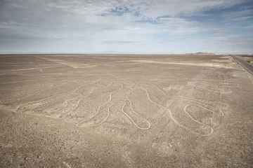 Fotobehang Tree (Arbol) lines in Nazca desert, Peru. © skinfaxi