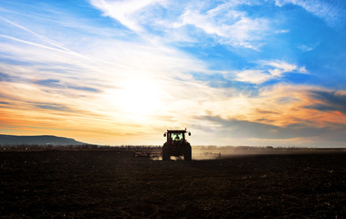 Fototapeta premium Tractor plows a field in the spring accompanied by rooks Tractor. Sunset