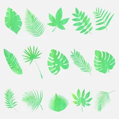 Foto op Plexiglas Tropische bladeren Set of leaves