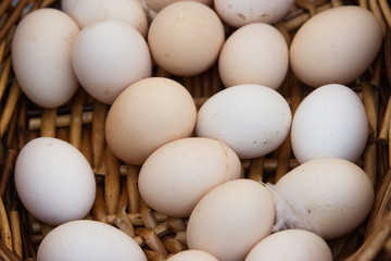 Uova in un cesto