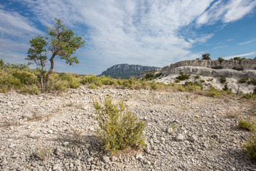 Fototapeta na wymiar sol rocailleux dans un paysage naturel du sud de la France
