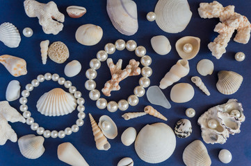 Different size and shape shells and pearls spread across a blue background