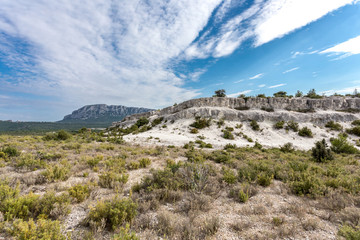 Fototapeta na wymiar paysage de garrigue aride du sud de la France