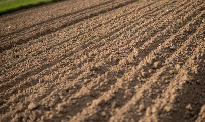 plowed empty field