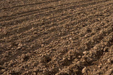 plowed empty field