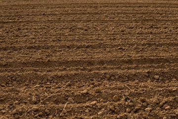 plowed empty field