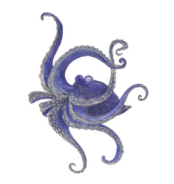 Watercolor painting blue octopus