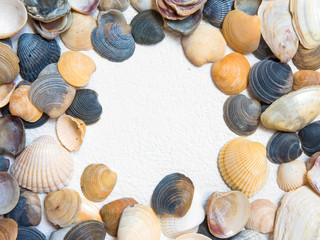 Multicolored seashells on light background pattern background for text about travel tourism holidays